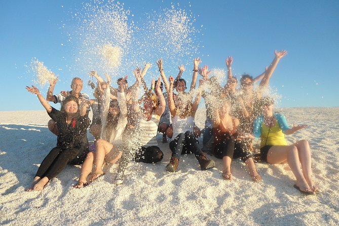 4-Day Monkey Mia Dolphins Pink Lake Pinnacles Comfort-Level Tour - Group Size, Comfort, and How to Pack for Western Australia Heat