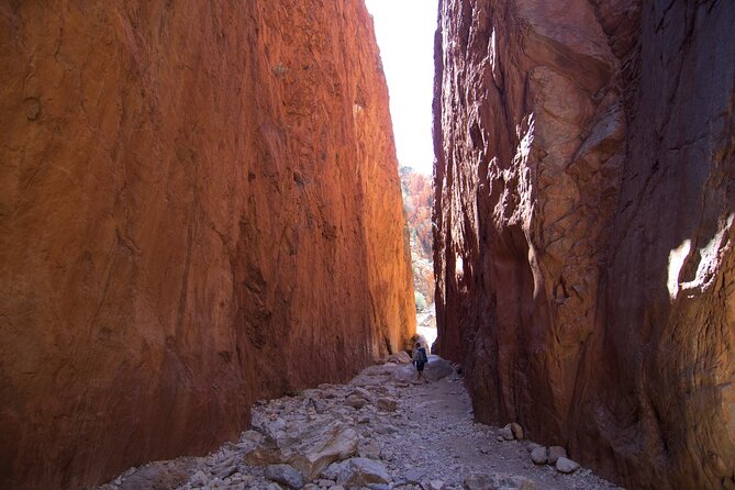 4 Day Uluru Kata Tjuta Kings Canyon West MacDonnell ex.Ayers Rock - Day 3 Kings Canyon in the morning, Mereenie Loop off-track, then stargazing camp