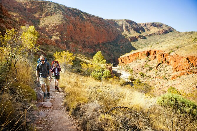 4 Day Uluru Kata Tjuta Kings Canyon West MacDonnell ex.Ayers Rock - Sleeping options: safari tents vs swag, and what to think about