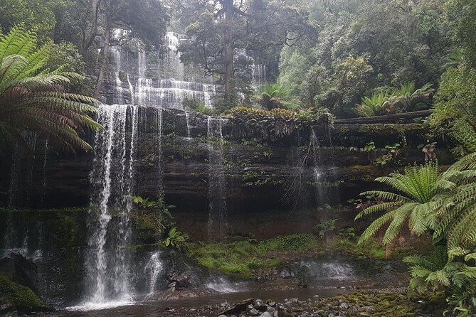 4 Day Wild Tasmania Tour / Wildlife, Nature, Hiking / Inc. Accom - Accommodation style: comfortable stays without the hostel vibe