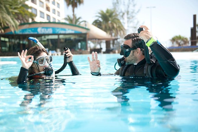 45 Minute Extreme Adrenaline Rush Ride - Stop-by-Stop: From Opera House Views to Luna Park Thrills