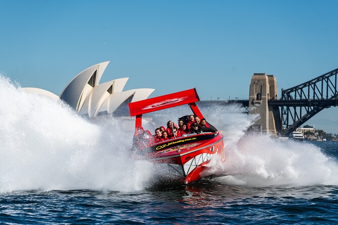 45 Minute Extreme Adrenaline Rush Ride - Price and Value: What $85.35 Buys You in Real Terms