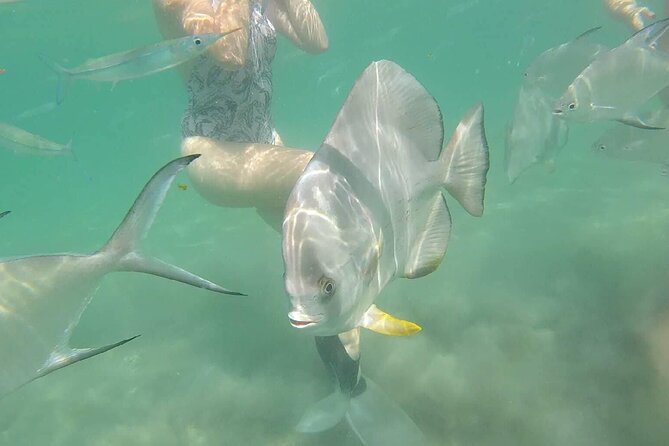 4H Snorkeling and Fishing Cruise on Magnetic Island - Meet Drew, and Enjoy the Owner-Operator Style