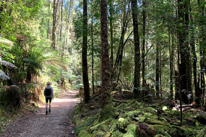 5-Day Best of Tasmania Tour from Hobart - Day 2: Strahan, Henty Dunes, Ocean Beach, and a World Heritage cruise option
