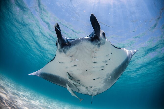 5 Night Ningaloo Reef Ningaloo Escape from Coral Bay - FAQ