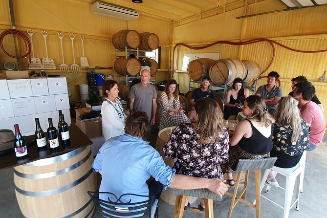 7- 8 Hour StelaVino Guided Wine Tours From Hobart, Tasmania - Price and value: is $132.69 a good deal?