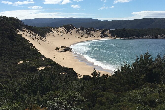 7-Day Super Value Tour of Tasmania: Explore Tasmania's West and East Coasts - Bonorong, Richmond, and Mount Wellington: wildlife, Georgian streets, and big views near Hobart
