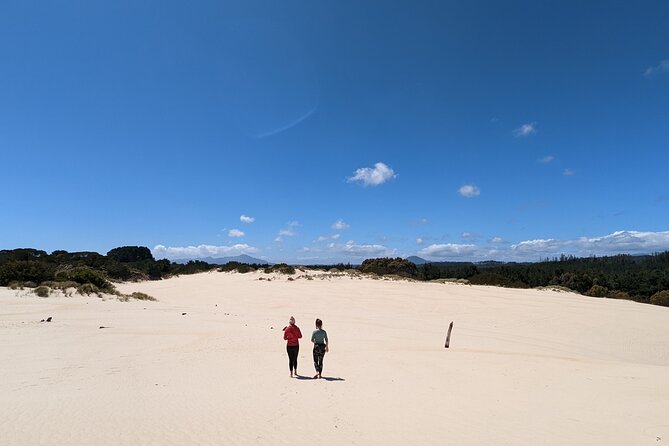 7-Day Super Value Tour of Tasmania: Explore Tasmania's West and East Coasts - Eaglehawk Neck, Port Arthur, then Tasman National Park formations