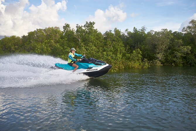 75-minute Die Another Day Jet Skiing in Darwin - Bleesers Creek mangroves, smooth water, and wildlife you might spot