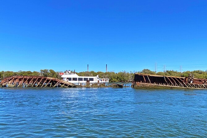 90 Minute Port River Dolphin & Ships Graveyard Cruise - The Big Things to Know Before You Go