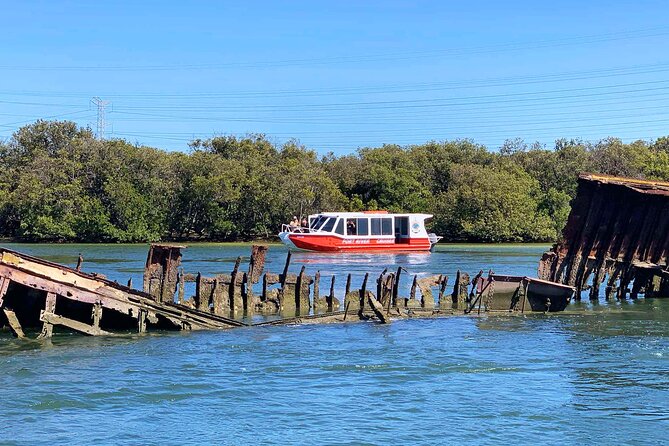 90 Minute Port River Dolphin & Ships Graveyard Cruise - Ships’ Graveyard: Rusting Hulks That Look Like They Are Still Waiting