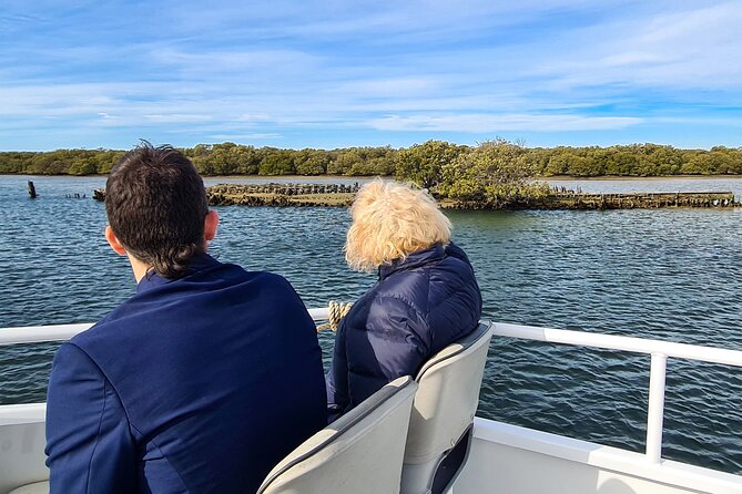 90 Minute Port River Dolphin & Ships Graveyard Cruise - Adelaide Dolphin Sanctuary Stop: How the Best Dolphin Days Work