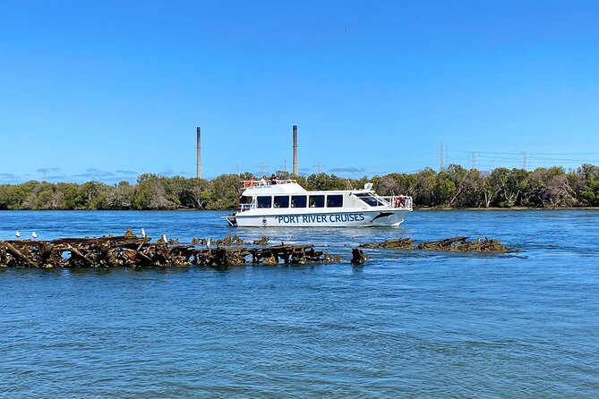90 Minute Port River Dolphin & Ships Graveyard Cruise - The Bird Sanctuary Glide: A Quiet Bonus for Wildlife Spotters