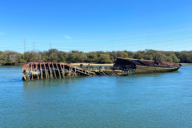 90 Minute Port River Dolphin & Ships Graveyard Cruise - Comfort and Viewing: What the Reviews Suggest You’ll Like