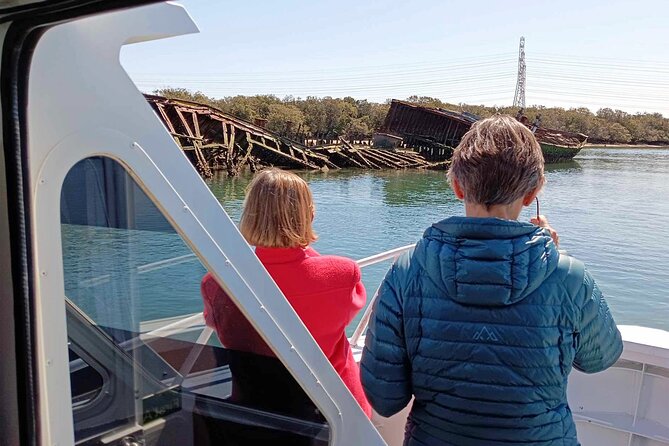 90 Minute Port River Dolphin & Ships Graveyard Cruise - Who Should Book This Cruise (And Who Might Skip It)