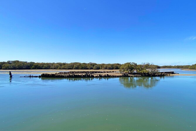 90 Minute Port River Dolphin & Ships Graveyard Cruise - Port River Cruise Time: How to Spend 90 Minutes Well
