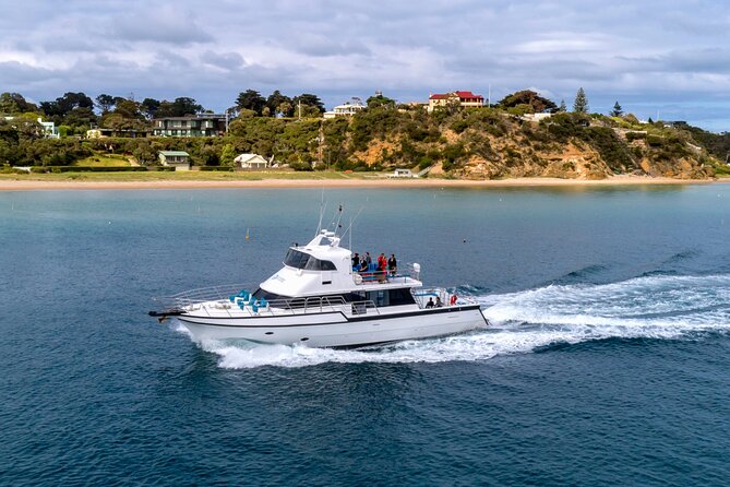 90 minute wildlife and scenic cruise - Camera and Deck Tips That Actually Help