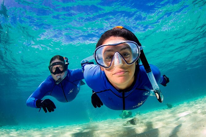 ABC Reef Safaris - Two Snorkel Periods at Outer-Reef Sites, Carefully Chosen