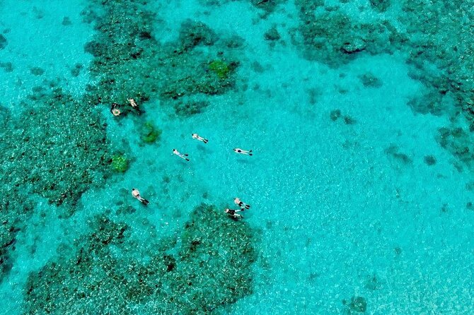 ABC Reef Safaris - Safety and Personal Attention, Especially for Nervous First-Timers