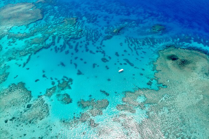 ABC Reef Safaris - Optional Scuba for First Timers, Without Making It Your Whole Day