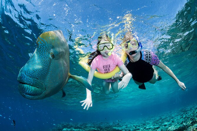 ABC Reef Safaris - Your Gear Is Included, Even Prescription Masks and Wetsuits