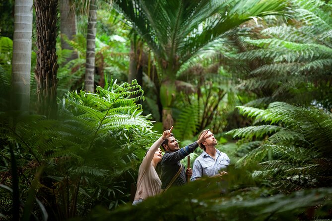 Aboriginal Heritage Walk - Royal Botanic Gardens Victoria, Melbourne Gardens - Key highlights that make this walk worth your time