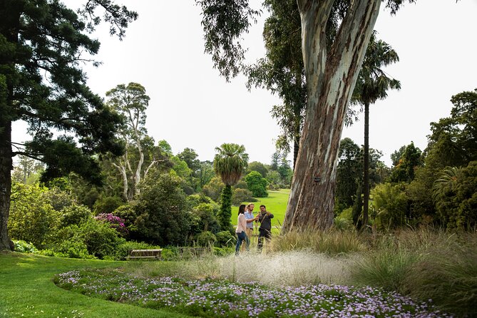Aboriginal Heritage Walk - Royal Botanic Gardens Victoria, Melbourne Gardens - Lemon myrtle tea, and the sensory way the garden sticks in your memory