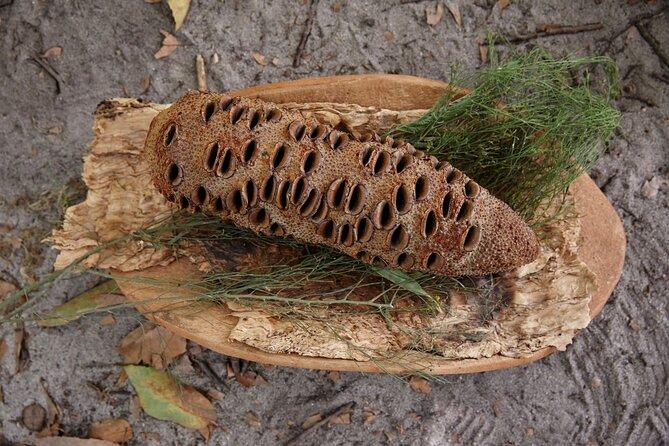 Aboriginal Heritage Walk - Royal Botanic Gardens Victoria, Melbourne Gardens - Price and value: what $30.51 buys you in the gardens