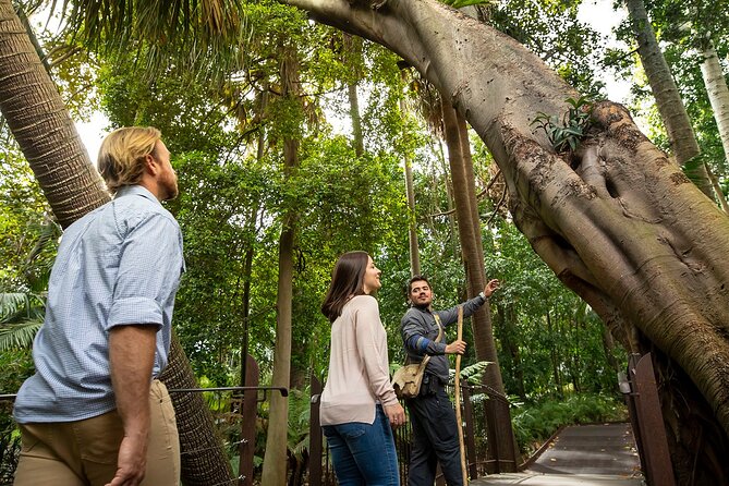 Aboriginal Heritage Walk - Royal Botanic Gardens Victoria, Melbourne Gardens - From Womin Djeka to the plant trail: how the 90 minutes unfold