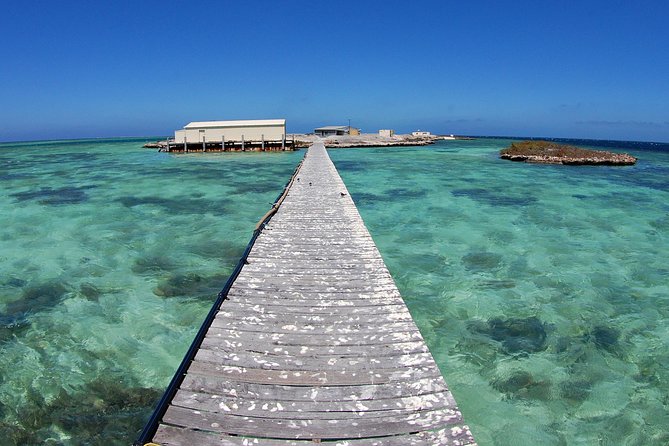 Abrolhos Islands 5 Day Cruise - Why Abrolhos Islands feels different from most day trips