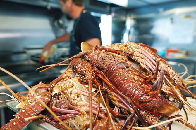 Abrolhos Islands 5 Day Cruise - Fishing and crayfish pot pulls: the hands-on part you actually remember