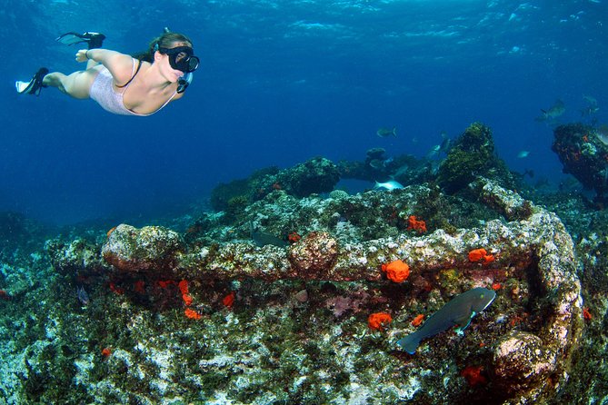 Abrolhos Islands 5 Day Cruise - Food on board: Chef Connor, dietary care, and ocean-to-plate seafood