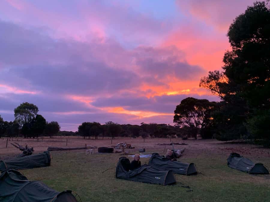 Adelaide: 3-Day Kangaroo Island Adventure Tour with Camping - Admirals Arch and Remarkable Rocks: how to make the most of limited time