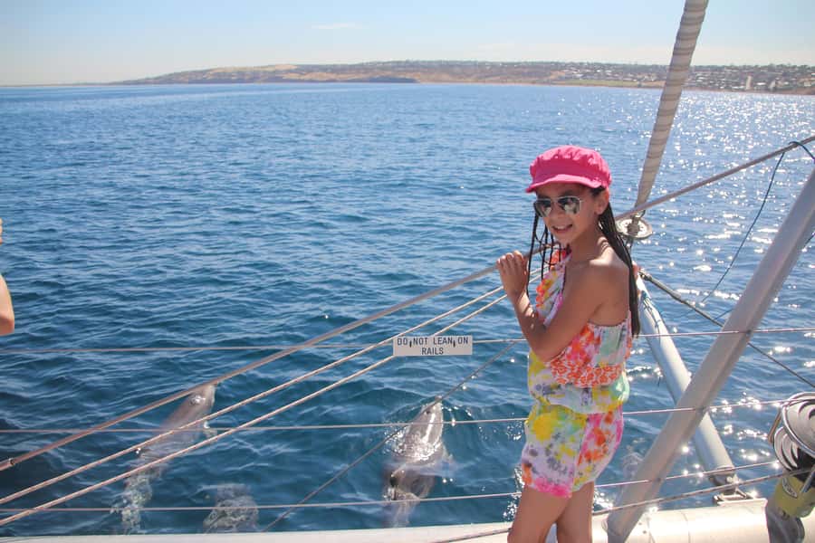 Adelaide: 4-Hour Guaranteed Wild Dolphin Watching Cruise - What You Will Likely See: Common vs Bottlenose Dolphins, Plus More