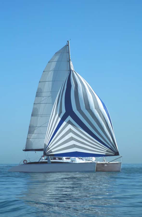 Adelaide: 4-Hour Swimming with Dolphins Experience - Weather and sea conditions: plan like a local, not like a gambler