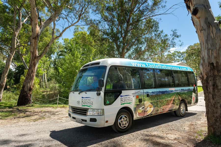 Adelaide: Barossa Premium Wine Tasting tour & Winery Lunch - Menglers Hill Lookout, Barossa Sculpture Park, and the Seppeltsfield Date Palms Photo Win