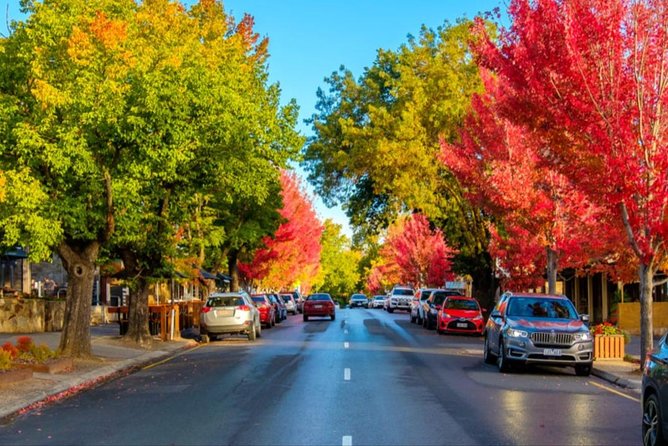Adelaide City Highlights- Mt. Lofty & Hahndorf Half-Day Tour - Who should book this tour, and who might want a different style