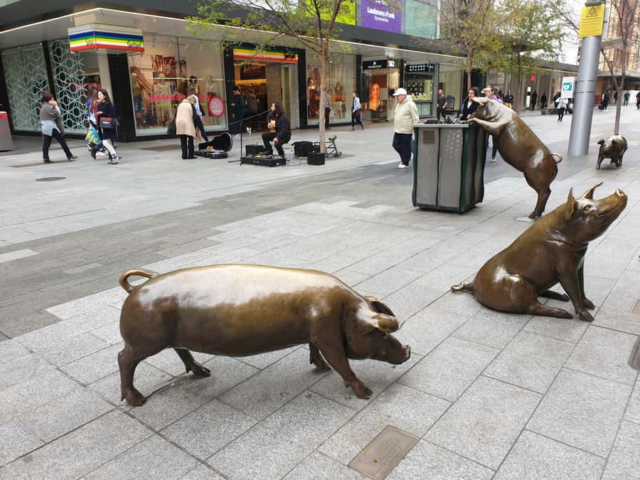 Adelaide: City Walking Tour with Guide - Adelaide Central Market Finish: Your Best Next Step for Food and Browsing