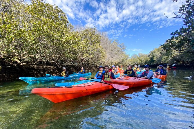 Adelaide Dolphin Sanctuary and Ships Graveyard Kayak Tour - Key Points I’d Prioritize Before You Go