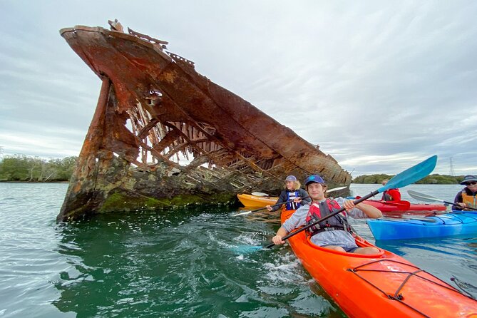 Adelaide Dolphin Sanctuary and Ships Graveyard Kayak Tour - How the Small Group and the Guide Shape Your Day