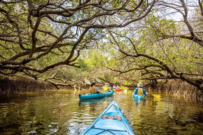 Adelaide Dolphin Sanctuary and Ships Graveyard Kayak Tour - Getting There: Port Adelaide Is Part of the Adventure