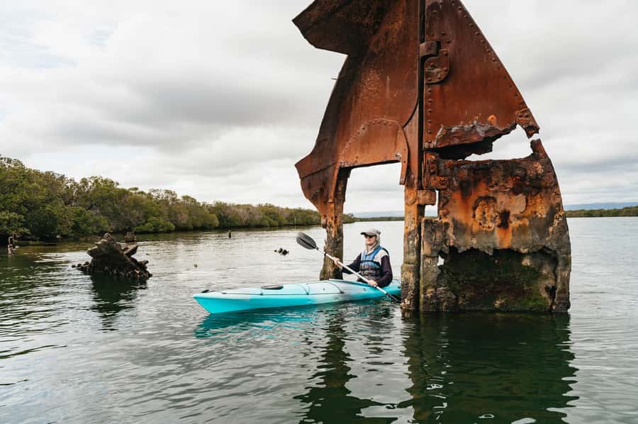 Adelaide: Dolphin Sanctuary Eco Kayaking Tour - Key things that make this tour worth your time