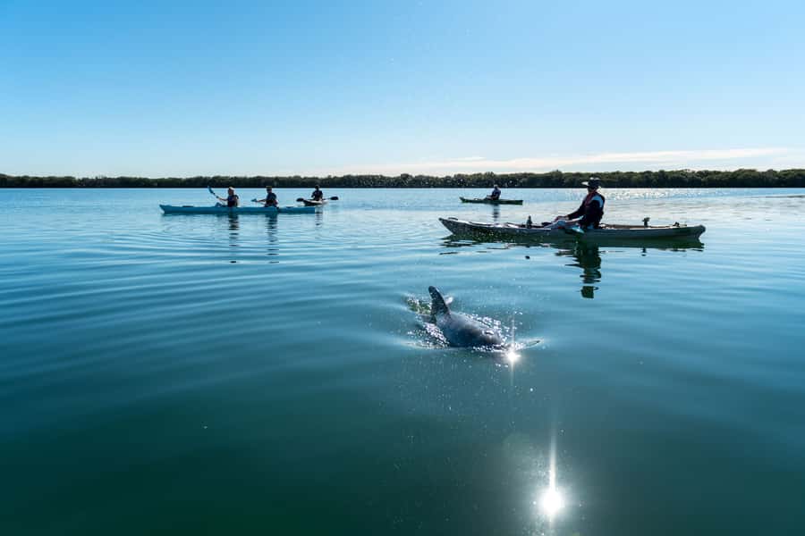 Adelaide: Dolphin Sanctuary Eco Kayaking Tour - Launching at Angas Inlet Boat Club: the Port Adelaide start that keeps it easy