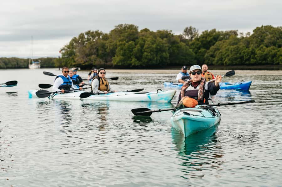 Adelaide: Dolphin Sanctuary Eco Kayaking Tour - Dolphins in their natural habitat: great odds, but not a promise
