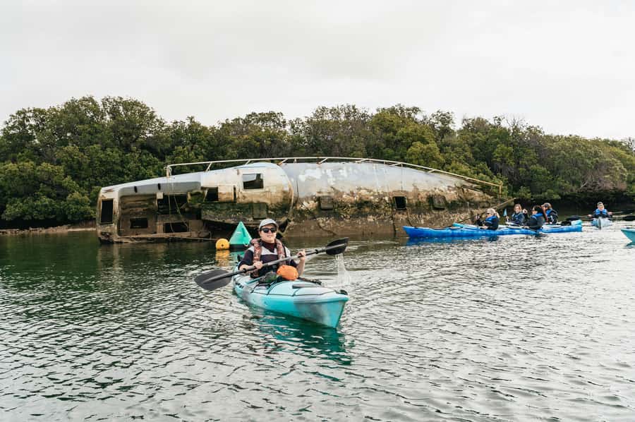Adelaide: Dolphin Sanctuary Eco Kayaking Tour - Shipwrecks and tidal reality: when you get close, and when you do not