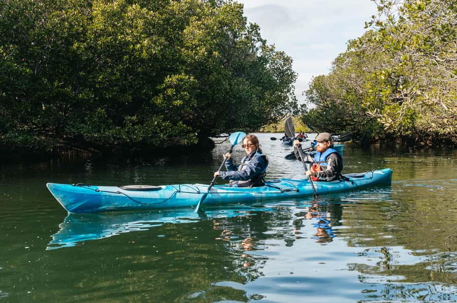 Adelaide: Dolphin Sanctuary Eco Kayaking Tour - Effort level: comfortable for beginners, but it is still paddling