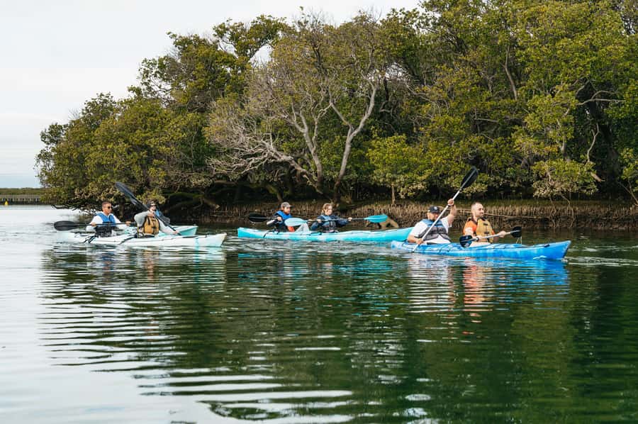 Adelaide: Dolphin Sanctuary Eco Kayaking Tour - The 15-minute safety briefing: fast basics before you glide into the mangroves