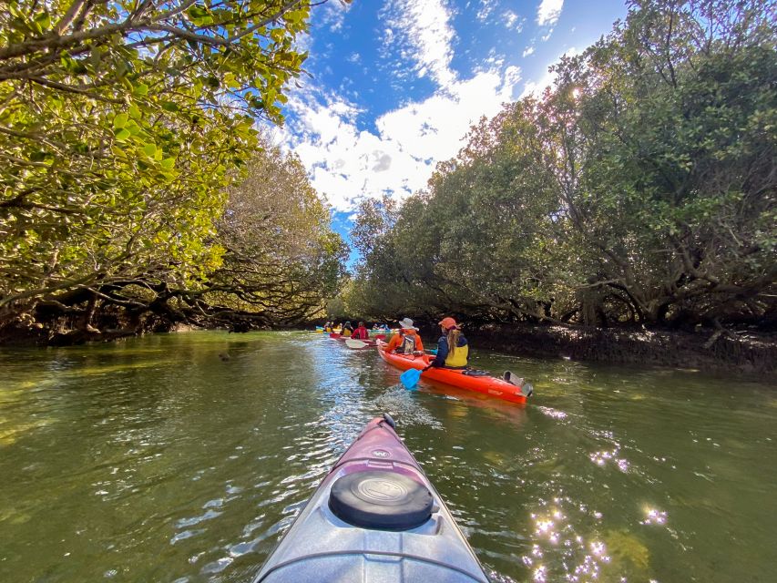 Adelaide: Dolphin Sanctuary Mangroves Kayak Tour - Logistics in Adelaide: getting to Garden Island and parking