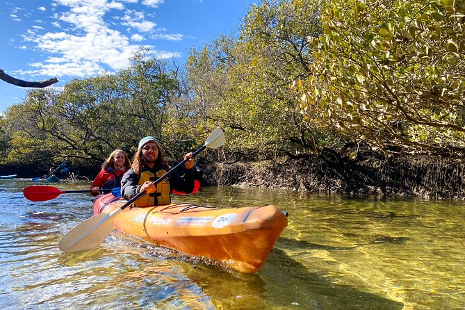 Adelaide Dolphin Sanctuary Mangroves Kayaking Tour - Quick hits on this Adelaide Dolphin Sanctuary kayak tour