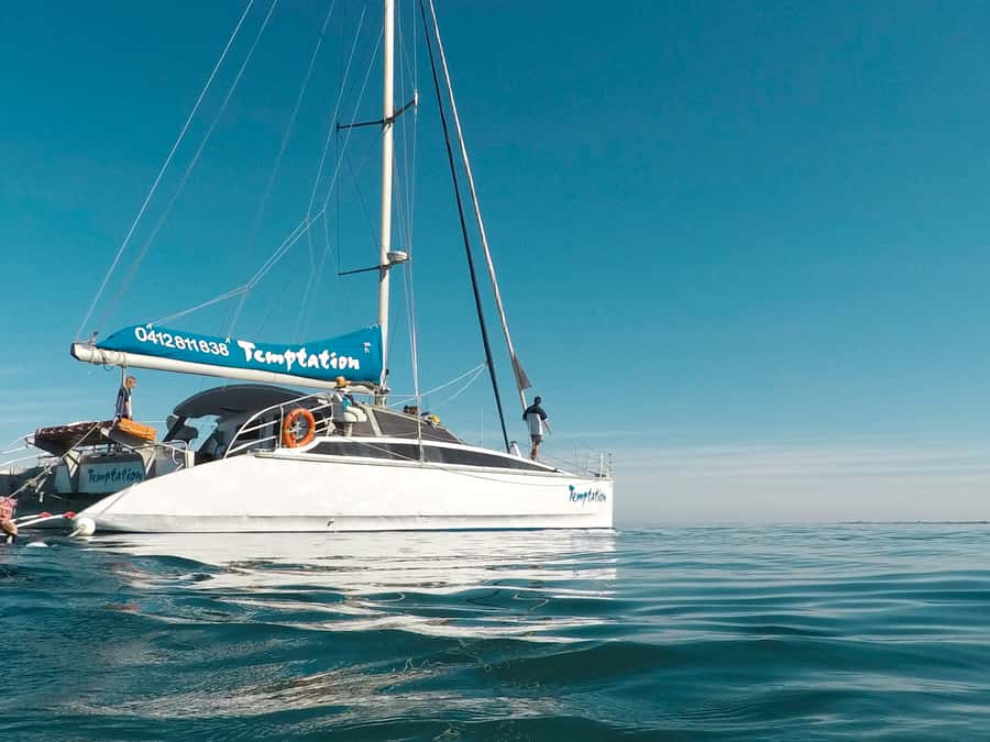 Adelaide: Glenelg Twilight Catamaran Cruise with Drink - Key highlights you’ll feel on the cruise